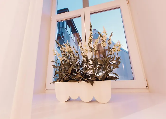 Apartment Doma Laukums In The Heart Of 3 Riga