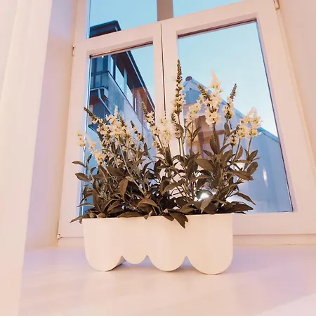 Apartment Doma Laukums In The Heart Of 3 Riga